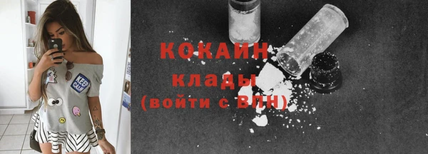 прущие грибы Беломорск