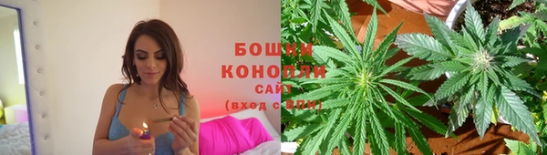 стафф Богородск