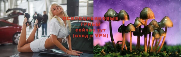 стафф Богородск