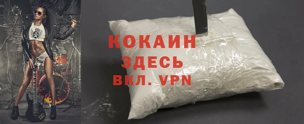 мескалин Богородицк