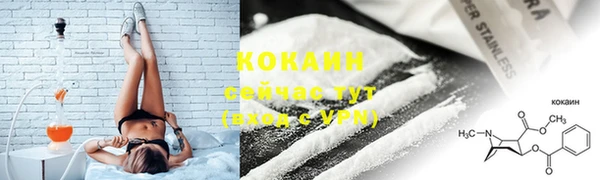 стафф Богородск