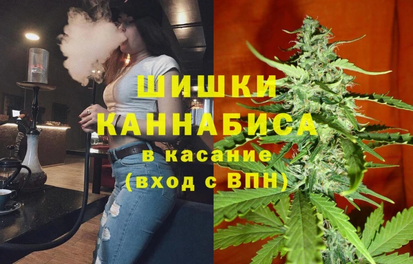 мескалин Богородицк