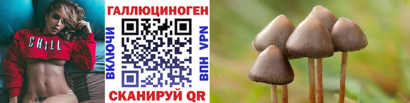 Купить где  Володарск  Галлюциногенные грибы Psilocybine cubensis 